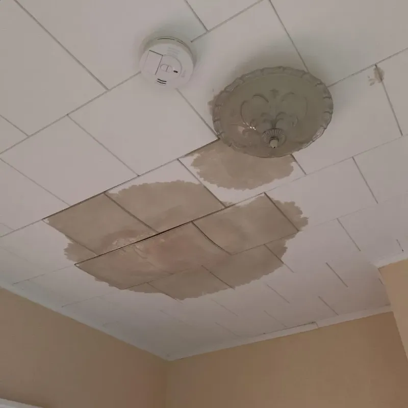 Ceiling Water Damage Repair in Nickerson, KS