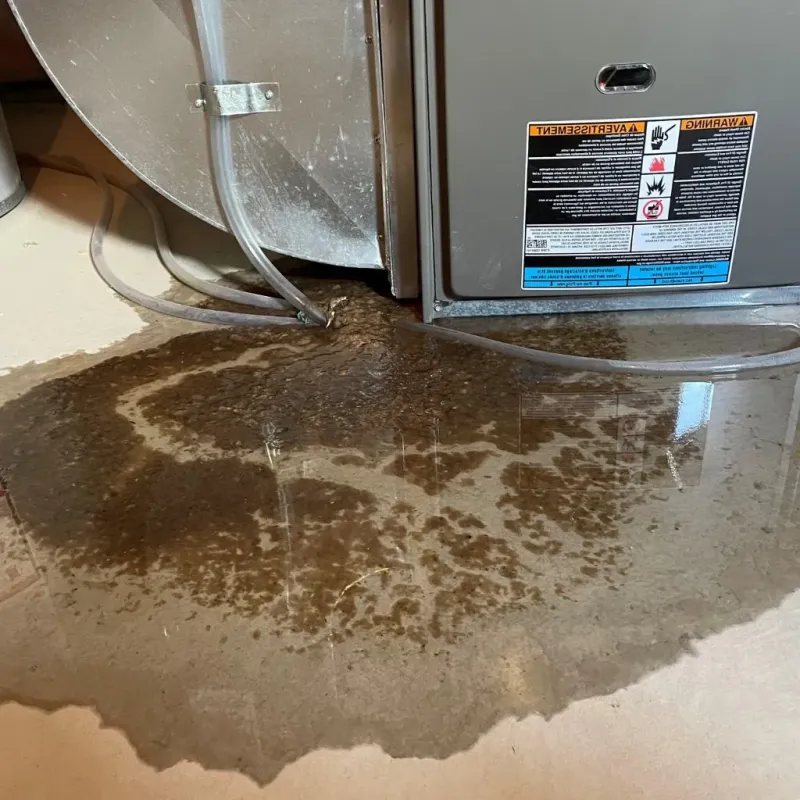 Pipe Burst and Leak Restoration in Nickerson, KS