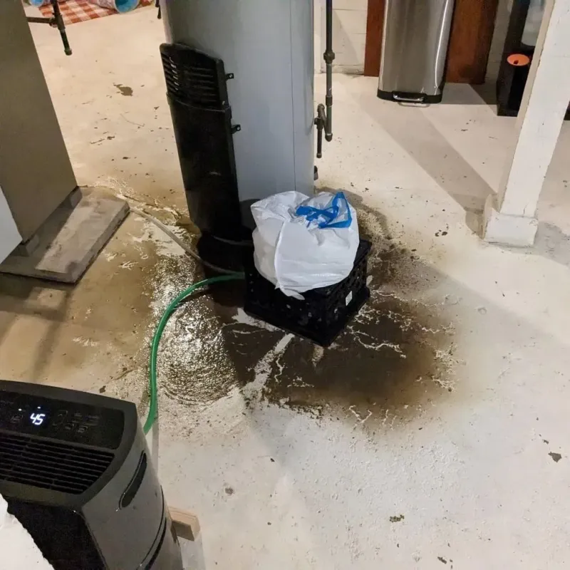 Sewage Backup Cleanup Service in Nickerson, KS